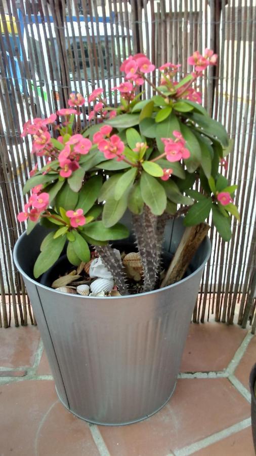 Apartamento Turistico Florhouse San Luis de Sabinillas Eksteriør billede